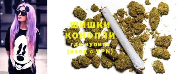 apvp Алзамай