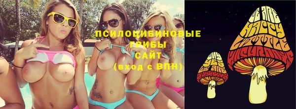 МДПВ Алексин