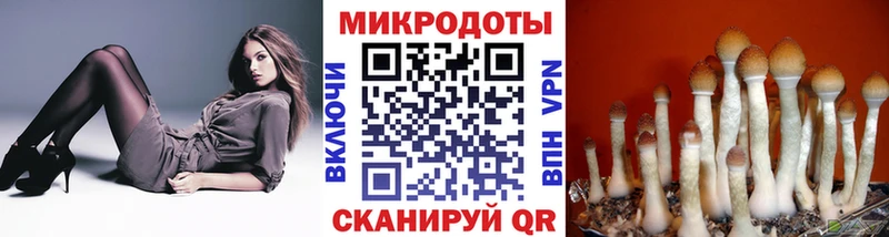 Псилоцибиновые грибы Magic Shrooms  мориарти какой сайт  Карачаевск 